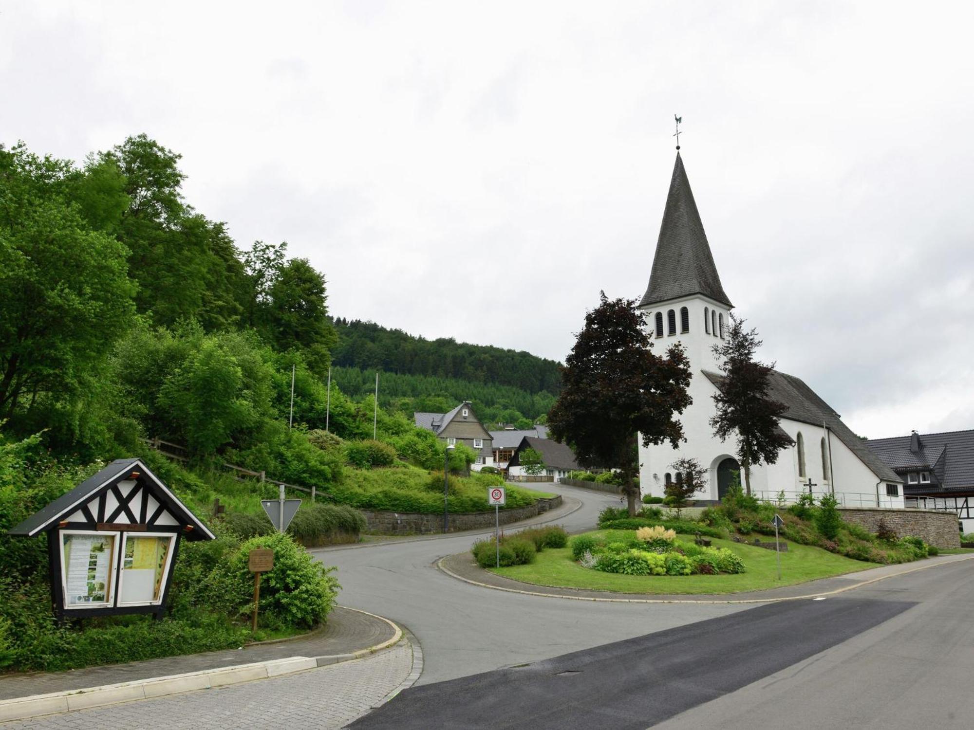 Cozy Holiday Home With Wifi In Hochsauerland Elpe Extérieur photo